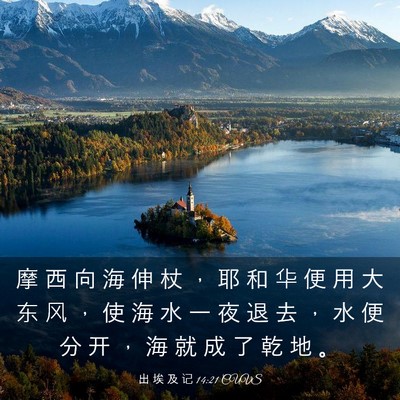 Picture 03 - 出 埃 及 记 14:21 CUVS - 摩 西 向 海 伸 杖 ， 耶 和 华 便 用 - Bible Verse Picture