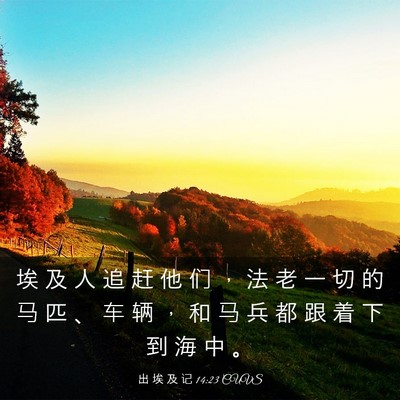 Picture 03 - 出 埃 及 记 14:23 CUVS - 埃 及 人 追 赶 他 们 ， 法 老 一 切 - Bible Verse Picture