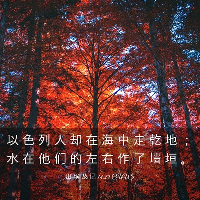 Picture 03 - 出 埃 及 记 14:29 CUVS - 以 色 列 人 却 在 海 中 走 乾 地 ； - Bible Verse Picture