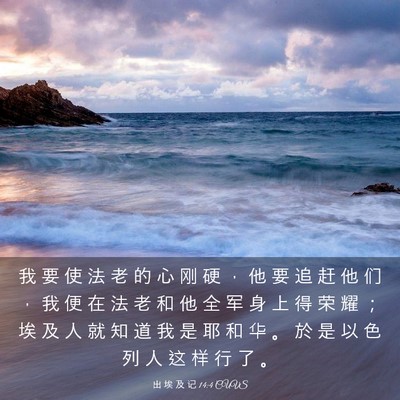 Picture 03 - 出 埃 及 记 14:4 CUVS - 我 要 使 法 老 的 心 刚 硬 ， 他 要 - Bible Verse Picture