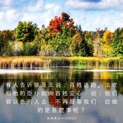 Picture 03 - 出 埃 及 记 14:5 CUVS - 有 人 告 诉 埃 及 王 说 ： 百 姓 逃 - Bible Verse Picture