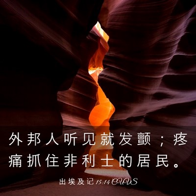 Picture 03 - 出 埃 及 记 15:14 CUVS - 外 邦 人 听 见 就 发 颤 ； 疼 痛 抓 - Bible Verse Picture