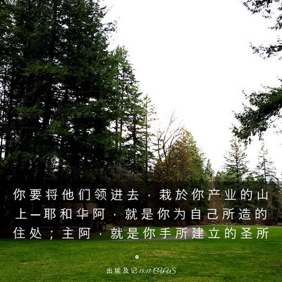 Picture 03 - 出 埃 及 记 15:17 CUVS - 你 要 将 他 们 领 进 去 ， 栽 於 你 - Bible Verse Picture