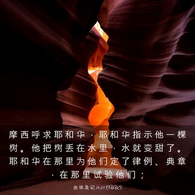 Picture 03 - 出 埃 及 记 15:25 CUVS - 摩 西 呼 求 耶 和 华 ， 耶 和 华 指 - Bible Verse Picture
