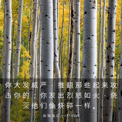 Picture 03 - 出 埃 及 记 15:7 CUVS - 你 大 发 威 严 ， 推 翻 那 些 起 来 - Bible Verse Picture
