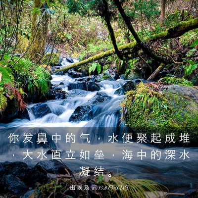 Picture 03 - 出 埃 及 记 15:8 CUVS - 你 发 鼻 中 的 气 ， 水 便 聚 起 成 - Bible Verse Picture