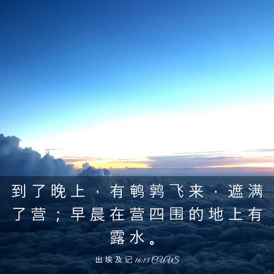 Picture 03 - 出 埃 及 记 16:13 CUVS - 到 了 晚 上 ， 有 鹌 鹑 飞 来 ， 遮 - Bible Verse Picture