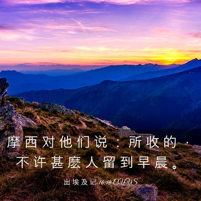 Picture 03 - 出 埃 及 记 16:19 CUVS - 摩 西 对 他 们 说 ： 所 收 的 ， 不 - Bible Verse Picture