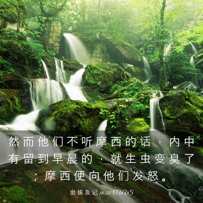 Picture 03 - 出 埃 及 记 16:20 CUVS - 然 而 他 们 不 听 摩 西 的 话 ， 内 - Bible Verse Picture