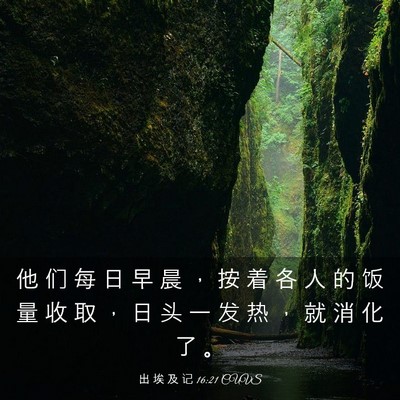 Picture 03 - 出 埃 及 记 16:21 CUVS - 他 们 每 日 早 晨 ， 按 着 各 人 的 - Bible Verse Picture
