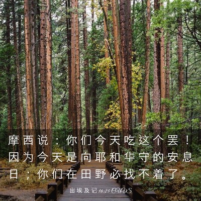 Picture 03 - 出 埃 及 记 16:25 CUVS - 摩 西 说 ： 你 们 今 天 吃 这 个 罢 - Bible Verse Picture