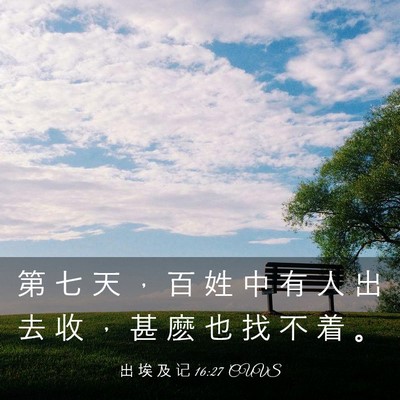Picture 03 - 出 埃 及 记 16:27 CUVS - 第 七 天 ， 百 姓 中 有 人 出 去 收 - Bible Verse Picture