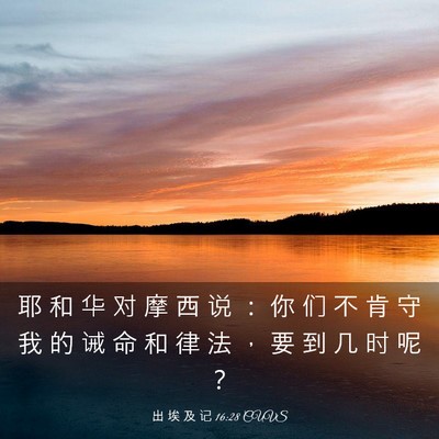 Picture 03 - 出 埃 及 记 16:28 CUVS - 耶 和 华 对 摩 西 说 ： 你 们 不 肯 - Bible Verse Picture