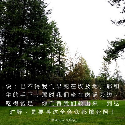 Picture 03 - 出 埃 及 记 16:3 CUVS - 说 ： 巴 不 得 我 们 早 死 在 埃 及 - Bible Verse Picture