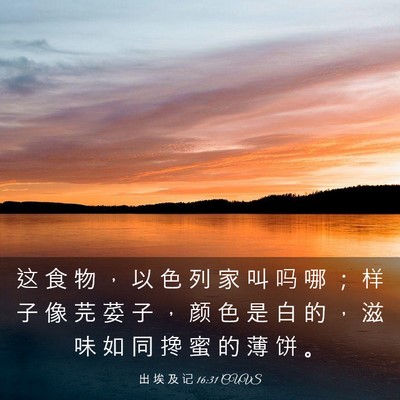 Picture 03 - 出 埃 及 记 16:31 CUVS - 这 食 物 ， 以 色 列 家 叫 吗 哪 ； - Bible Verse Picture