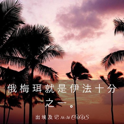 Picture 03 - 出 埃 及 记 16:36 CUVS - 俄 梅 珥 就 是 伊 法 十 分 之 一 - Bible Verse Picture