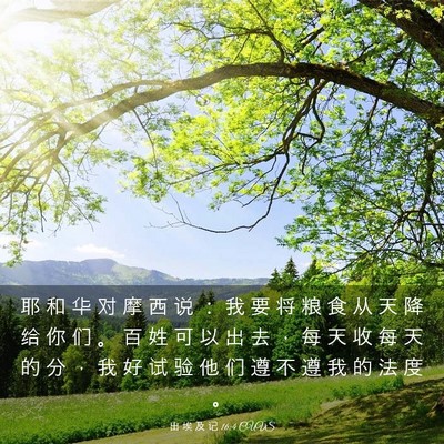 Picture 03 - 出 埃 及 记 16:4 CUVS - 耶 和 华 对 摩 西 说 ： 我 要 将 粮 - Bible Verse Picture