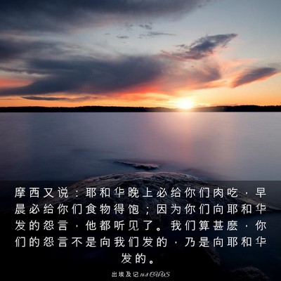 Picture 03 - 出 埃 及 记 16:8 CUVS - 摩 西 又 说 ： 耶 和 华 晚 上 必 给 - Bible Verse Picture