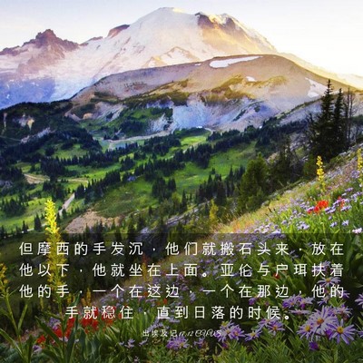Picture 03 - 出 埃 及 记 17:12 CUVS - 但 摩 西 的 手 发 沉 ， 他 们 就 搬 - Bible Verse Picture
