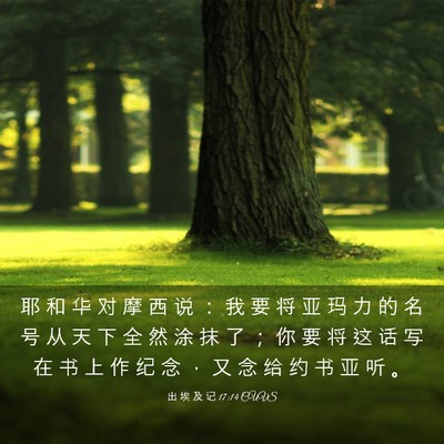 Picture 03 - 出 埃 及 记 17:14 CUVS - 耶 和 华 对 摩 西 说 ： 我 要 将 亚 - Bible Verse Picture
