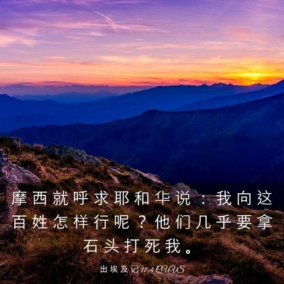 Picture 03 - 出 埃 及 记 17:4 CUVS - 摩 西 就 呼 求 耶 和 华 说 ： 我 向 - Bible Verse Picture