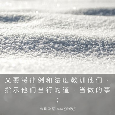 Picture 03 - 出 埃 及 记 18:20 CUVS - 又 要 将 律 例 和 法 度 教 训 他 们 - Bible Verse Picture