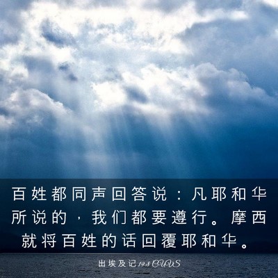 Picture 03 - 出 埃 及 记 19:8 CUVS - 百 姓 都 同 声 回 答 说 ： 凡 耶 和 - Bible Verse Picture