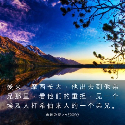 Picture 03 - 出 埃 及 记 2:11 CUVS - 後 来 ， 摩 西 长 大 ， 他 出 去 到 - Bible Verse Picture