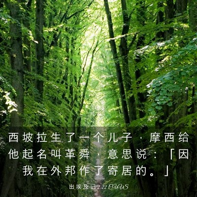 Picture 03 - 出 埃 及 记 2:22 CUVS - 西 坡 拉 生 了 一 个 儿 子 ， 摩 西 - Bible Verse Picture