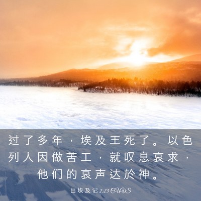 Picture 03 - 出 埃 及 记 2:23 CUVS - 过 了 多 年 ， 埃 及 王 死 了 。 以 - Bible Verse Picture