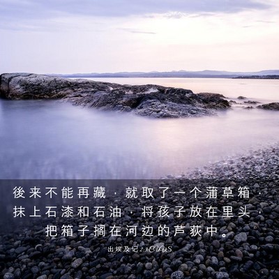Picture 03 - 出 埃 及 记 2:3 CUVS - 後 来 不 能 再 藏 ， 就 取 了 一 个 - Bible Verse Picture