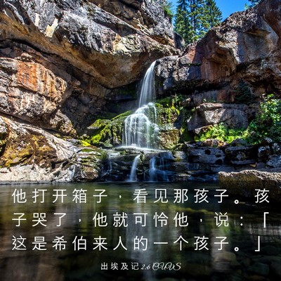 Picture 03 - 出 埃 及 记 2:6 CUVS - 他 打 开 箱 子 ， 看 见 那 孩 子 。 - Bible Verse Picture