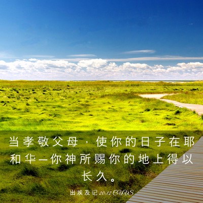 Picture 03 - 出 埃 及 记 20:12 CUVS - 当 孝 敬 父 母 ， 使 你 的 日 子 在 - Bible Verse Picture