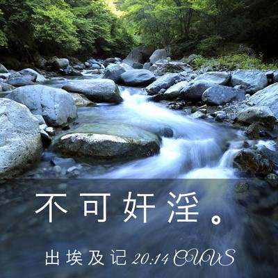 Picture 03 - 出 埃 及 记 20:14 CUVS - 不 可 奸 淫 - Bible Verse Picture