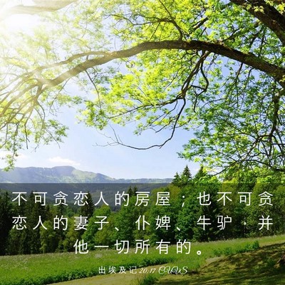Picture 03 - 出 埃 及 记 20:17 CUVS - 不 可 贪 恋 人 的 房 屋 ； 也 不 可 - Bible Verse Picture