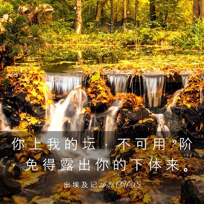 Picture 03 - 出 埃 及 记 20:26 CUVS - 你 上 我 的 坛 ， 不 可 用 ? 阶 ， 免 - Bible Verse Picture