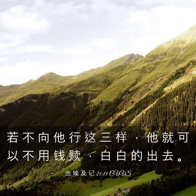 Picture 03 - 出 埃 及 记 21:11 CUVS - 若 不 向 他 行 这 三 样 ， 他 就 可 - Bible Verse Picture