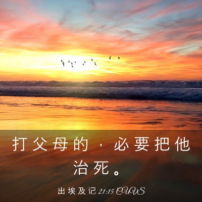 Picture 03 - 出 埃 及 记 21:15 CUVS - 打 父 母 的 ， 必 要 把 他 治 死 - Bible Verse Picture