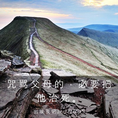 Picture 03 - 出 埃 及 记 21:17 CUVS - 咒 骂 父 母 的 ， 必 要 把 他 治 死 - Bible Verse Picture