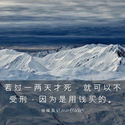 Picture 03 - 出 埃 及 记 21:21 CUVS - 若 过 一 两 天 才 死 ， 就 可 以 不 - Bible Verse Picture