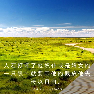 Picture 03 - 出 埃 及 记 21:26 CUVS - 人 若 打 坏 了 他 奴 仆 或 是 婢 女 - Bible Verse Picture