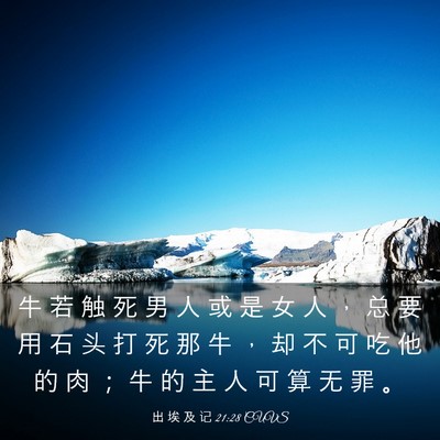 Picture 03 - 出 埃 及 记 21:28 CUVS - 牛 若 触 死 男 人 或 是 女 人 ， 总 - Bible Verse Picture