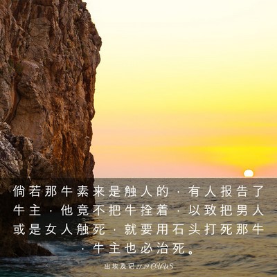 Picture 03 - 出 埃 及 记 21:29 CUVS - 倘 若 那 牛 素 来 是 触 人 的 ， 有 - Bible Verse Picture