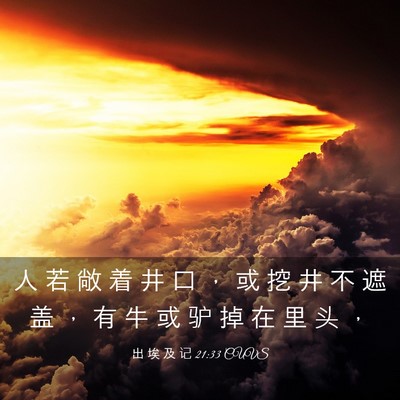 Picture 03 - 出 埃 及 记 21:33 CUVS - 人 若 敞 着 井 口 ， 或 挖 井 不 遮 - Bible Verse Picture
