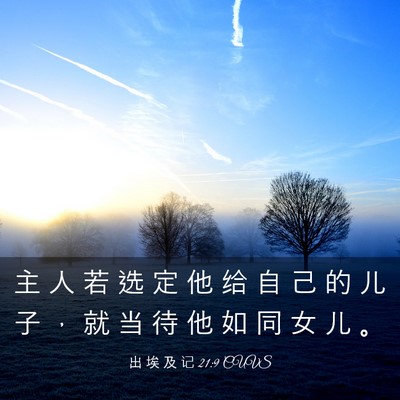Picture 03 - 出 埃 及 记 21:9 CUVS - 主 人 若 选 定 他 给 自 己 的 儿 子 - Bible Verse Picture