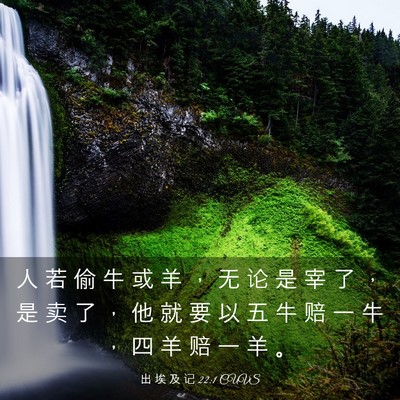 Picture 03 - 出 埃 及 记 22:1 CUVS - 人 若 偷 牛 或 羊 ， 无 论 是 宰 了 - Bible Verse Picture
