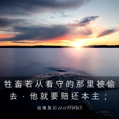 Picture 03 - 出 埃 及 记 22:12 CUVS - 牲 畜 若 从 看 守 的 那 里 被 偷 去 - Bible Verse Picture