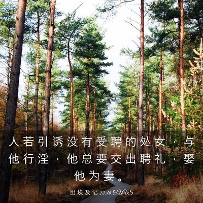 Picture 03 - 出 埃 及 记 22:16 CUVS - 人 若 引 诱 没 有 受 聘 的 处 女 ， - Bible Verse Picture