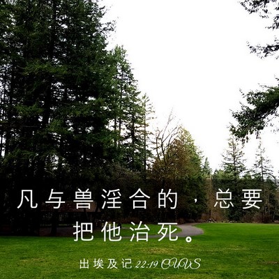 Picture 03 - 出 埃 及 记 22:19 CUVS - 凡 与 兽 淫 合 的 ， 总 要 把 他 治 - Bible Verse Picture