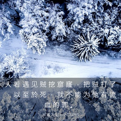 Picture 03 - 出 埃 及 记 22:2 CUVS - 人 若 遇 见 贼 挖 窟 窿 ， 把 贼 打 - Bible Verse Picture